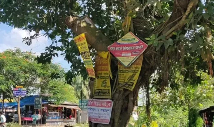 গাছ রক্ষায় কড়াকড়ি, পেরেক ঠুকলেই জরিমানা